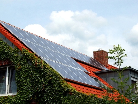 Solar panels on roof of home covered in ivy 