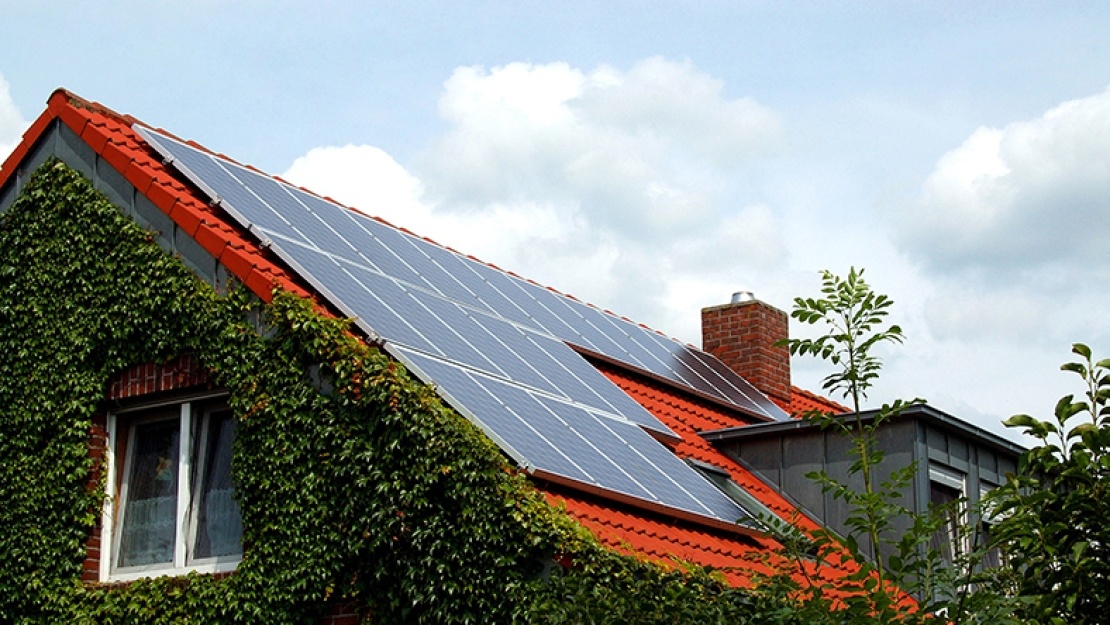 Solar panels on roof of home covered in ivy 