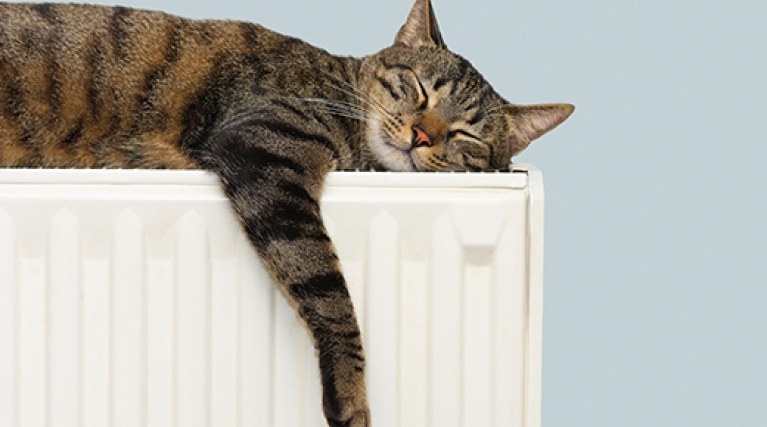 Discover our range of boiler and heating cover - Cat asleep on a radiator