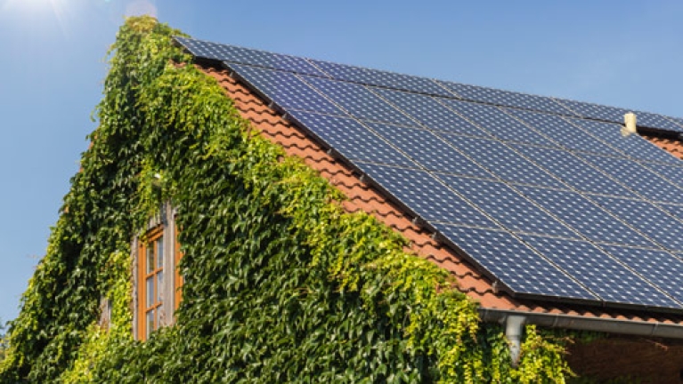 Solar panels on roof of detached home with ivy