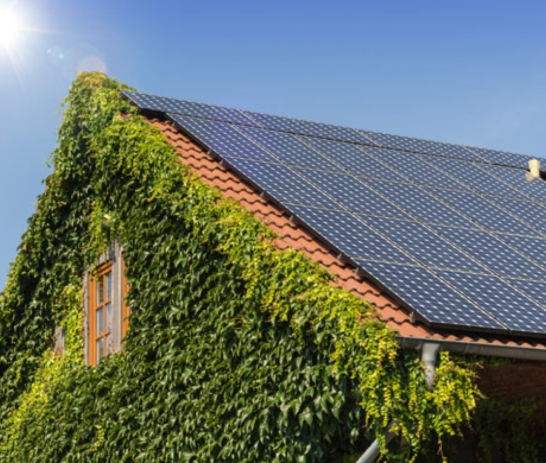 Solar panels on roof of detached home with ivy